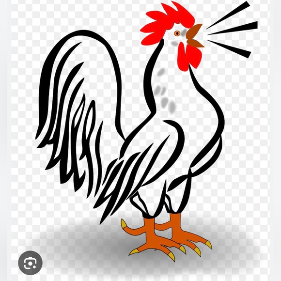 roosterhasit